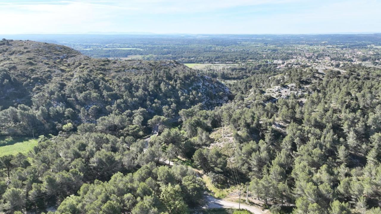 Ecrin De Nature Sous Les Pins