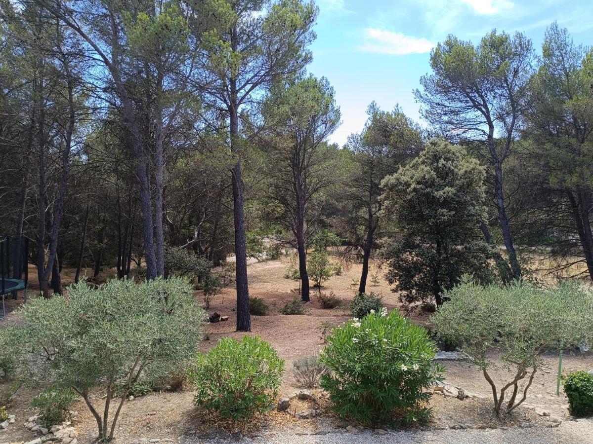 Ecrin De Nature Sous Les Pins