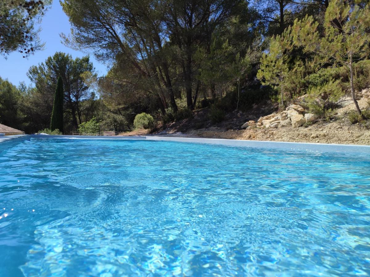 Ecrin De Nature Sous Les Pins