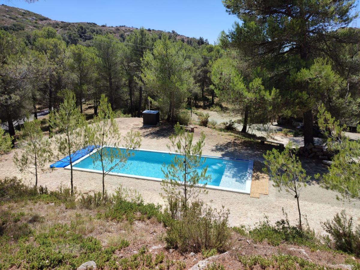 Ecrin De Nature Sous Les Pins