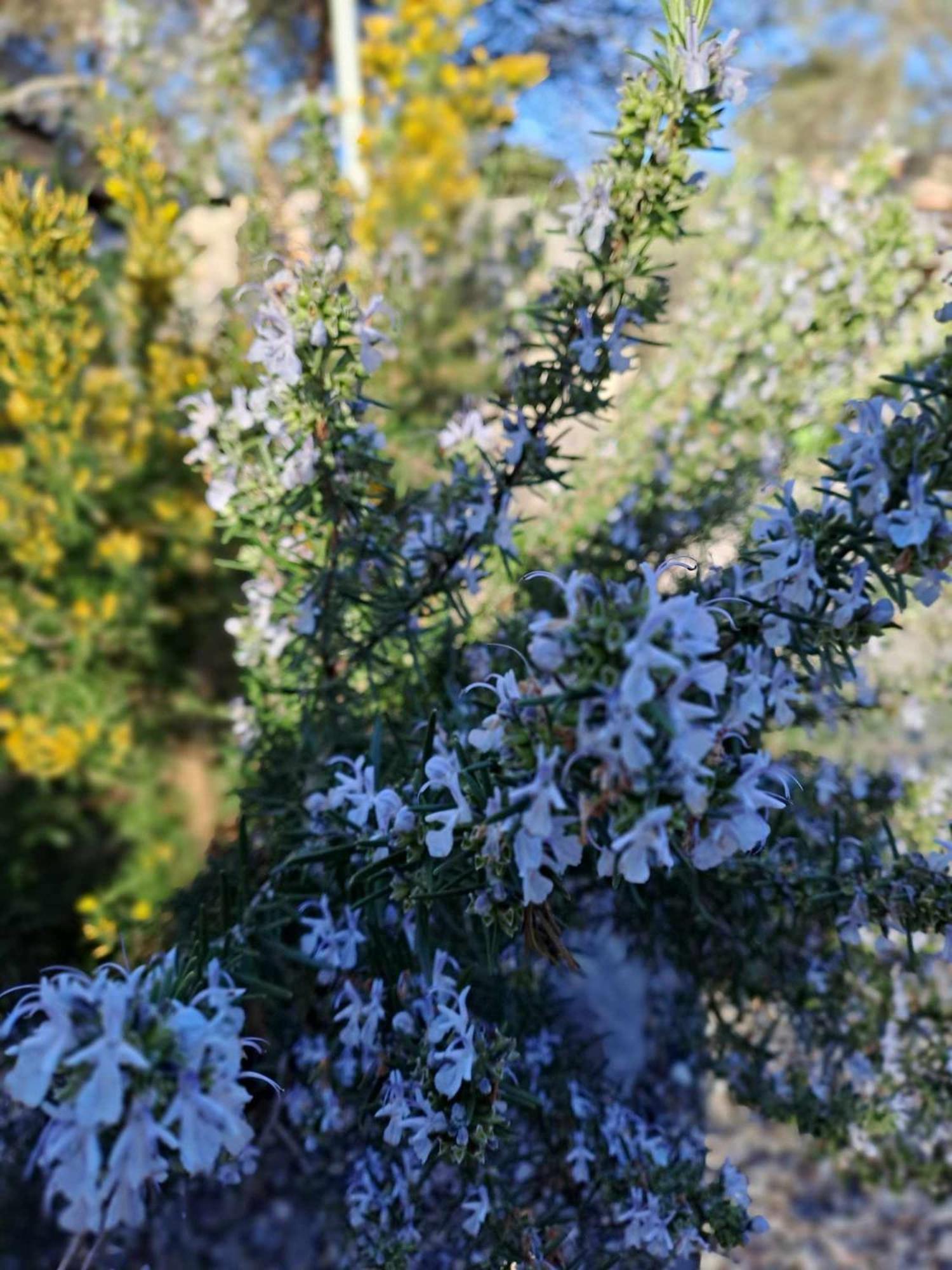 Homestay Ecrin De Nature Sous Les Pins