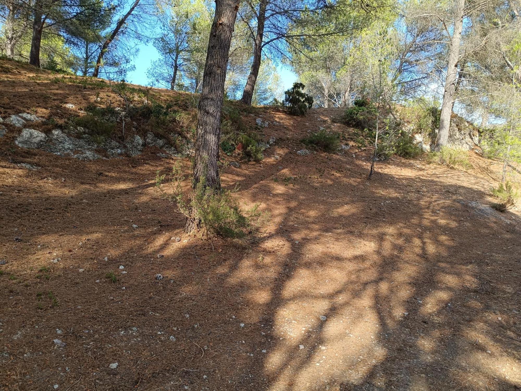 Ecrin De Nature Sous Les Pins Homestay *
