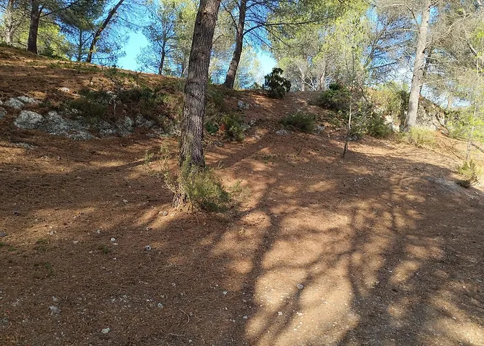 Ecrin De Nature Sous Les Pins